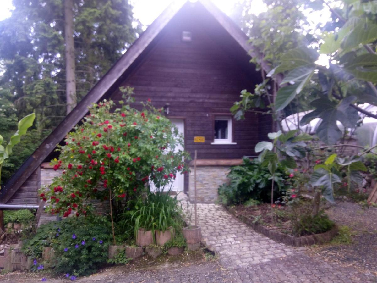 Maison Bois "Alaska" Rochecorbon Esterno foto